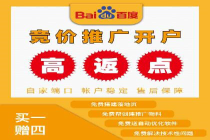 百度竞价推广的ROI优化策略：一则案例分析